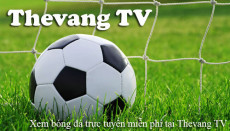 Thevang Tv - Cổng xem trực tiếp bóng đá thế giới và trong nước hàng đầu