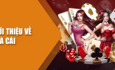 Viva88 - Khám Phá Casino Đẳng Cấp Quốc Tế “Hot” Nhất 2024