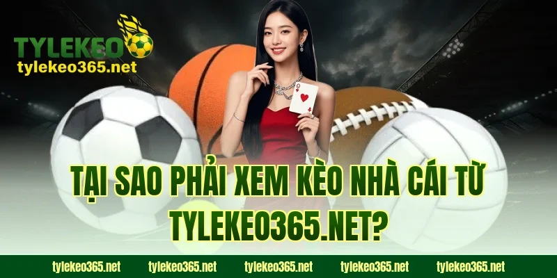 Tại sao phải xem kèo nhà cái từ tylekeo365.net?